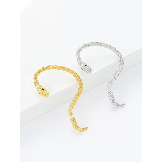 Snake Shape Earhook Earrings