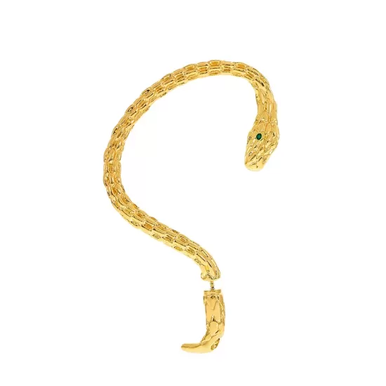 Snake Shape Earhook Earrings