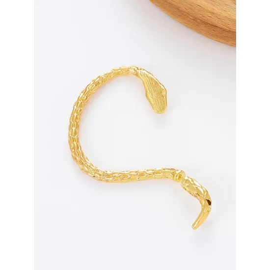 Snake Shape Earhook Earrings