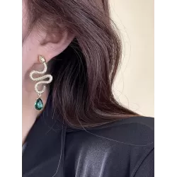 Contrast Color Snake Shape Earrings Accessories