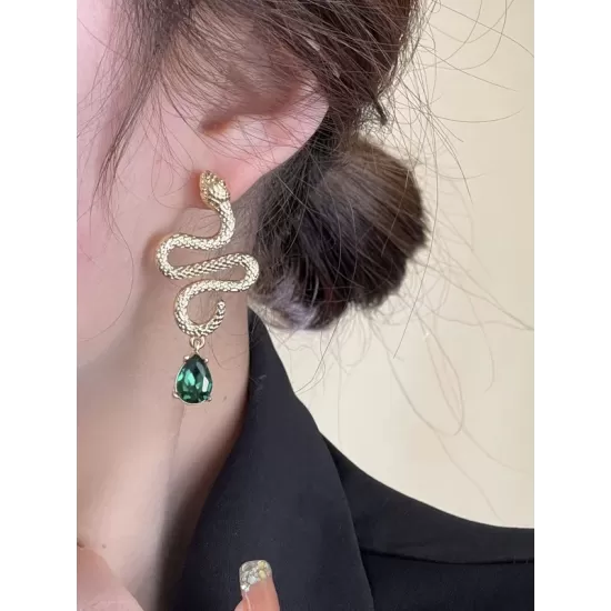 Contrast Color Snake Shape Earrings Accessories