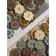 About 100Pcs Multi-Color Wooden Buttons