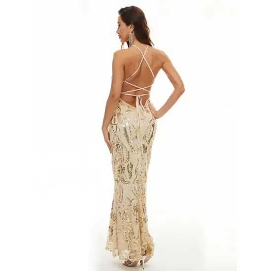 Evening Wrap A-Line Backless Embroidered V-Neck Maxi Dress